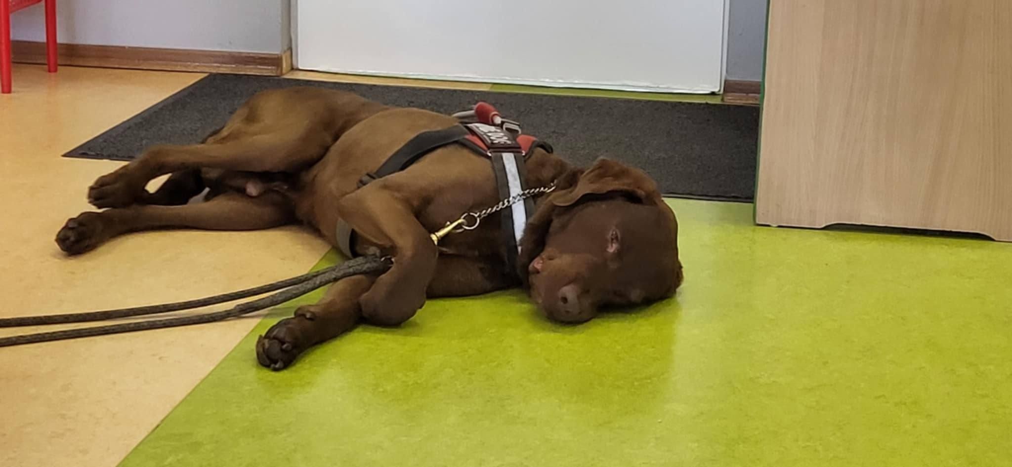 491022523_693255476546010_8690762136855004510_n