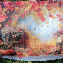 552374176_816905137514376_3444139864120010274_n